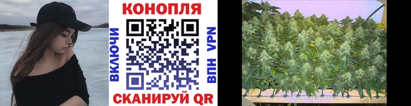 Бошки марихуана тримм  hydra   Брюховецкая  как найти  